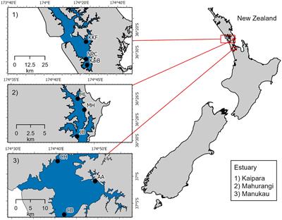 Scale-dependent influence of multiple environmental drivers on estuarine macrobenthic crustaceans